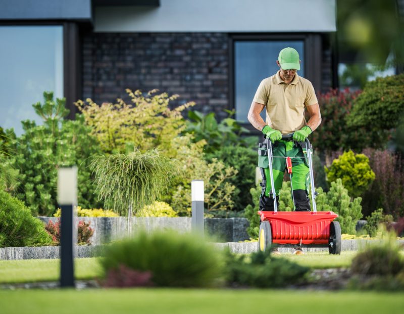 Hortikultura Krk - održavanje vrtova i okućnica