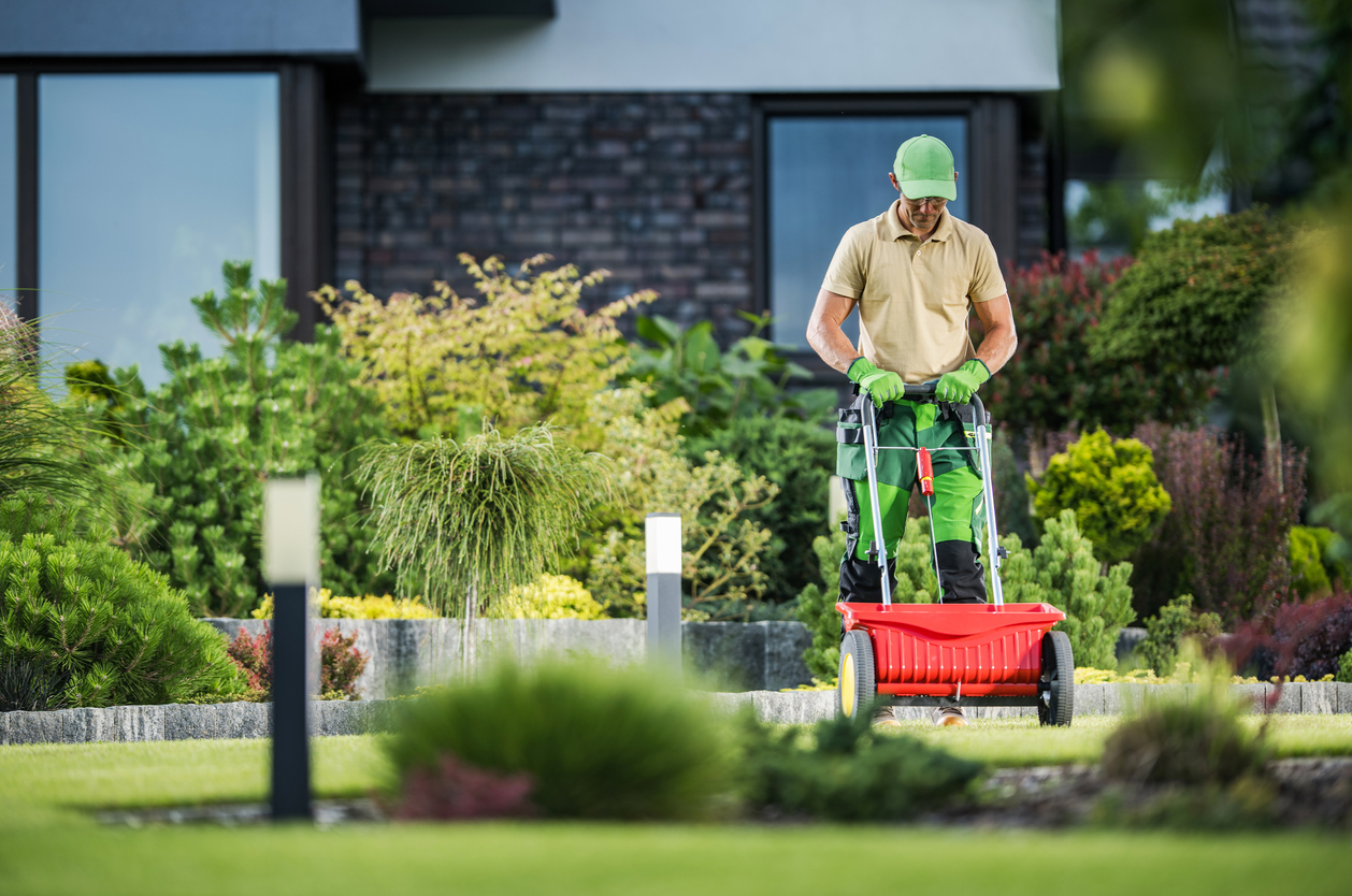 Hortikultura Krk - održavanje vrtova i okućnica